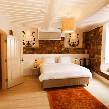 ヴィラ Ipekyol Avec Piscine Privee *