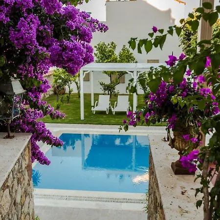 Ipekyol Avec Piscine Privee Villa